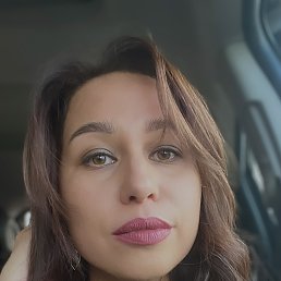 ���� ���, ���������, 41 ��� - ��������� 8 ������ 2026