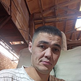 , 37, 
