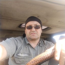 , 53, 