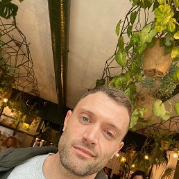 ���������, 36 ���, ������