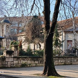 ���� Daniel, ���� - ��������� 8 ������� 2026