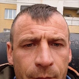 , 42, 