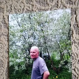, 51,  