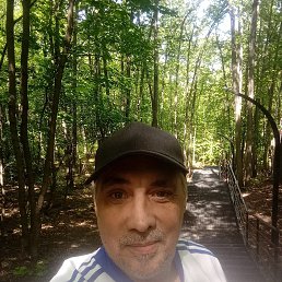 , 53, 