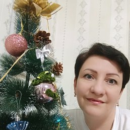 ���� ������, �����������, 47 ��� - ��������� 31 ������� 2024