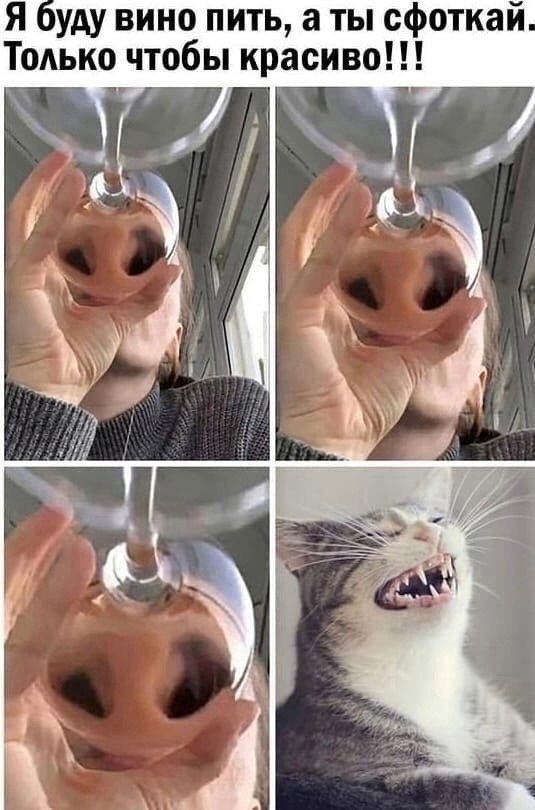  -  .