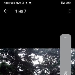 , 25, --