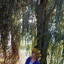 ���� �����, ���������, 33 ���� - ��������� 14 ������� 2025