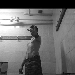 ���� ����������, ����, 33 ���� - ��������� 3 ������ 2026