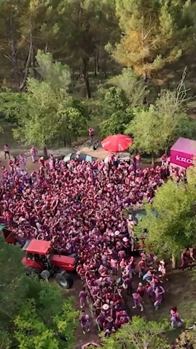    ,         La Batalla del Vino, ... - 2