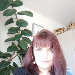 ���� L, �������, 42 ���� - ��������� 28 ��� 2025