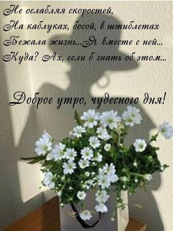   - 24  2024  05:53