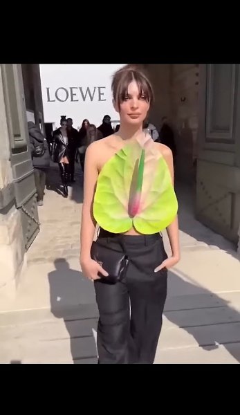 ����������� ���� - 2