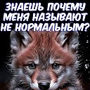 ���� ������������, ������-��-���� - ��������� 26 ������ 2025 � ������ ������ ��������