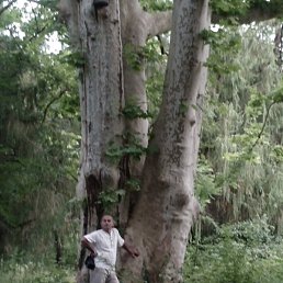 ��4�, �������, 60 ���