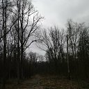 ���� ����, ���������, 47 ��� - ��������� 13 ������ 2026