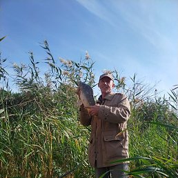 ���������� �������, ���������, 55 ���