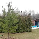 ���� Baeva, ������, 48 ��� - ��������� 26 ������ 2024 � ������ ���� ����������