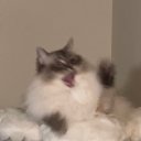 ���� �����, ������, 18 ��� - ��������� 5 �������� 2025 � ������ ���� ����������