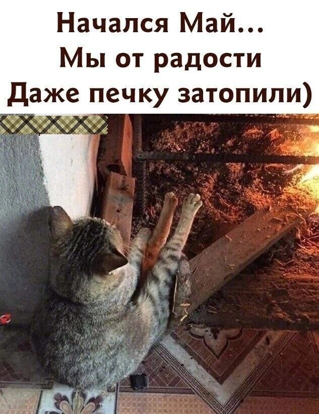   - 11  2025  17:02