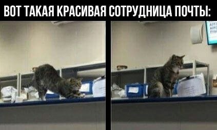    - 9  2023  11:23