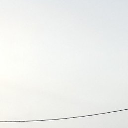 ������, ����, 31 ���