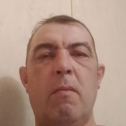 �������, �������, 40 ���