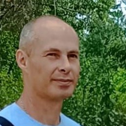 �������, ������, 46 ���