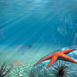 �����, ������ ��������, 50 ���