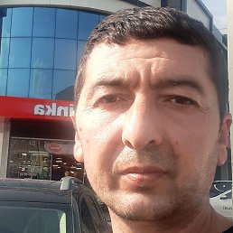 �����, �������, 46 ���