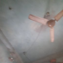 Rk, ��������, 38 ���