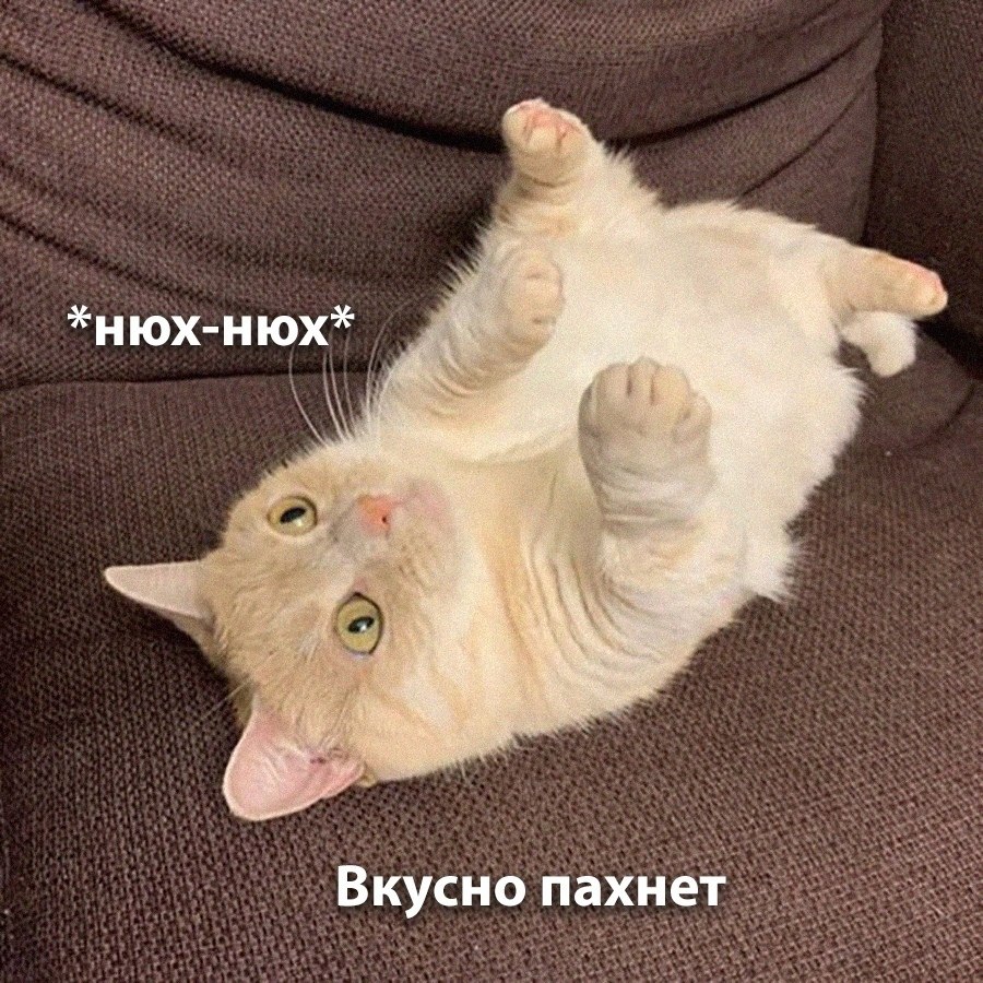   - 2
