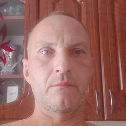 �������, ���������, 46 ���