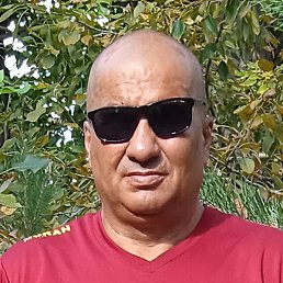 ������, ���������, 58 ���