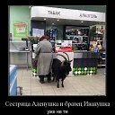 ���� ���������, �������, 52 ���� - ��������� 16 ���� 2026 � ������ ������ ��������