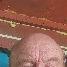 , 54, 