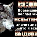 ���� ������, ������, 39 ��� - ��������� 25 ������� 2025 � ������ ���� ����������
