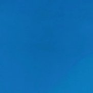 �����, 41 ���, ����