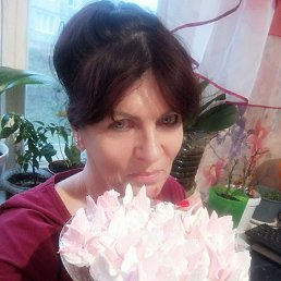 ���� ��������, ������, 61 ��� - ��������� 28 ������� 2023