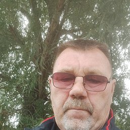 , 54, 