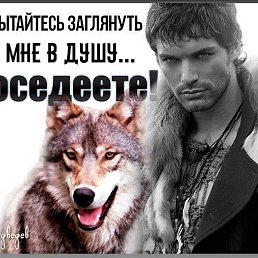 ����, ������, 42 ����