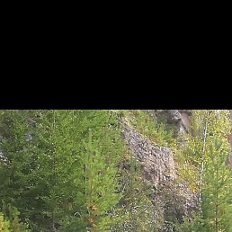 ������, �����������, 50 ���