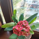 ���� ����, ������� - ��������� 28 ����� 2026