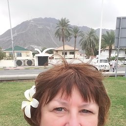 , 61, 