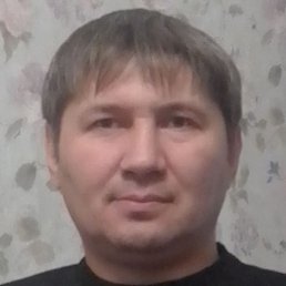 �����, ������, 43 ����