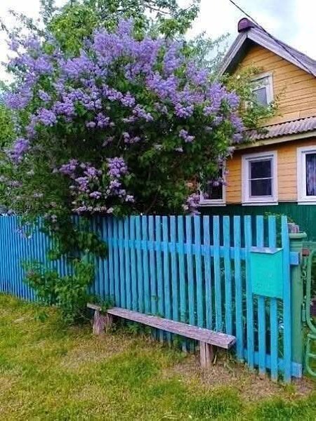 Однажды Ульяну муж назвал Юлей. Утром это было. Муж прижался к жене, приобнял ее и прошептал на ухо: ...