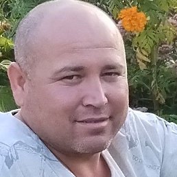 �����, ������, 38 ���