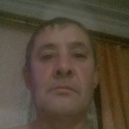 ������, ������, 49 ���