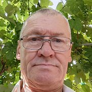 , 62 , 