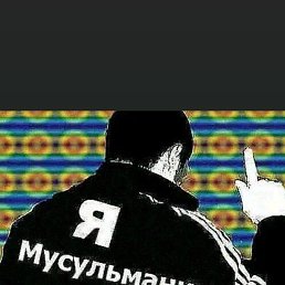 ���� ������, ������, 43 ���� - ��������� 14 �������� 2026